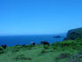 pololu-valley-4.jpg