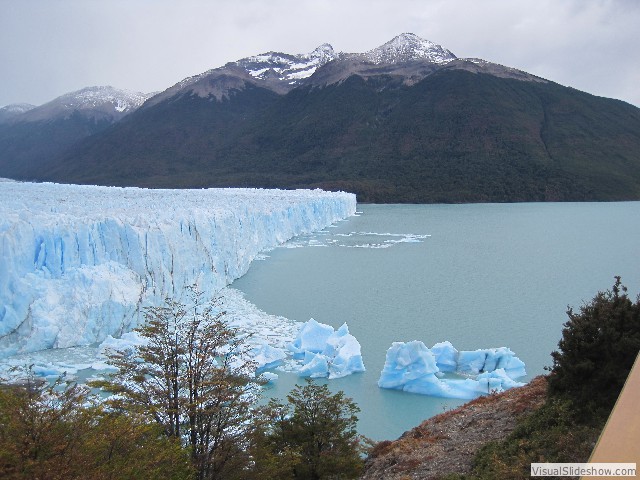 009 Perito Moreno Glacier & Nothofagus Forest