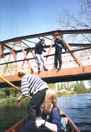 Bridge Jumping Upper Cam