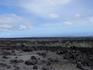old-lava-kona-coast.jpg
