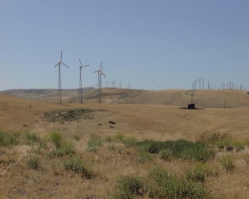 CA Wind Farm