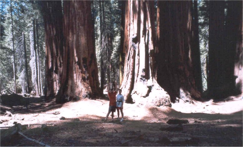 Kim & Pete Sequoia NP