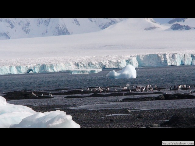 020 Brown Bluff Antarctica