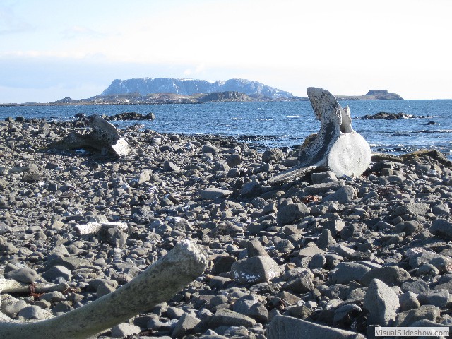 070 Whale bones, Aitcho Island