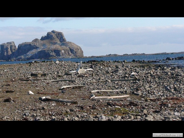 071 Whale bones, Aitcho Island
