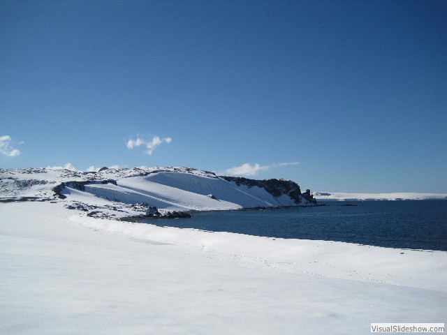 076 Half Moon Island, S. Shetlands 2012-02-21