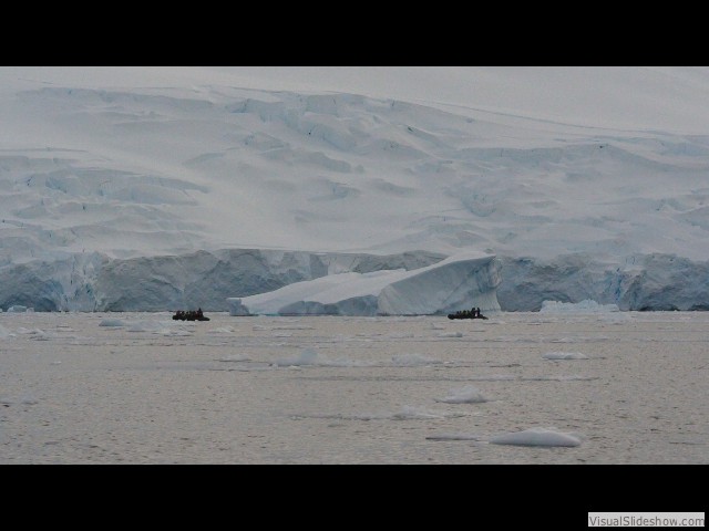 124 Humpback whales, Neko Harbor