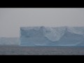 017 Tabular Iceberg in Bransfield Strait