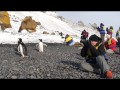 019 Brown Bluff Antarctica, Gentoo Penguins 2012-02-20