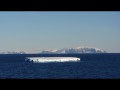 040 Tabular berg, Fridtjof Sound, Antarctic Peninsula in background