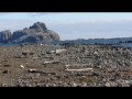 071 Whale bones, Aitcho Island