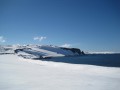 076 Half Moon Island, S. Shetlands 2012-02-21