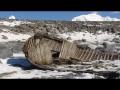 080 Remains of whaling water boat, Half Moon Island