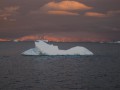 084 Gerlache Strait