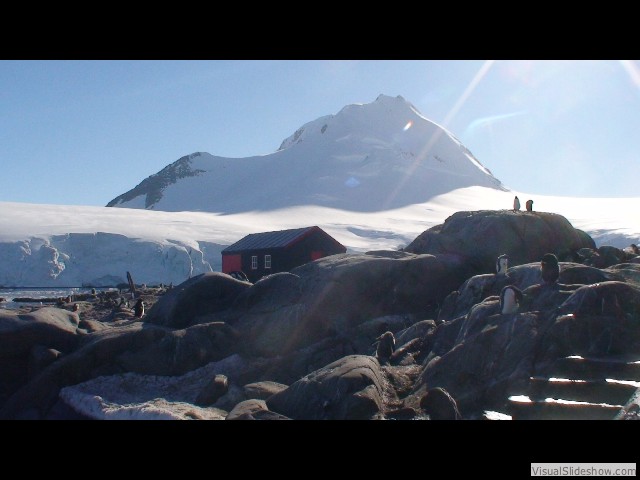 073 Gentoos and Port Lockroy