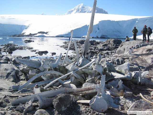 074 Whale Bones, Jougla Point