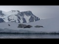 019 Crabeater seals on iceberg