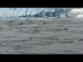 027 200+ Crabeater seals swimming in formation