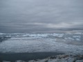 042 View brash ice from Pleneau Island