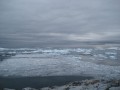 042 View brash ice from Pleneau Island